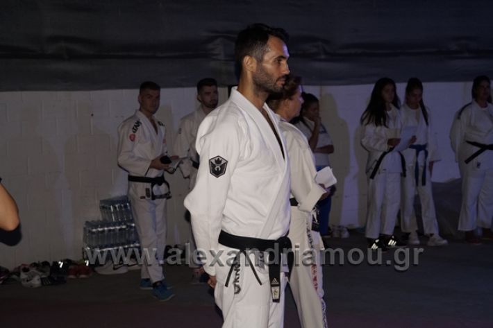 alexandriamou.gr_karate288036