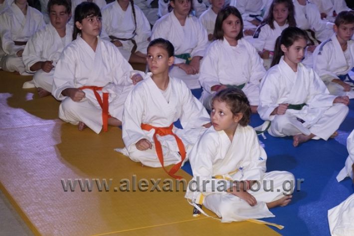 alexandriamou.gr_karate288039