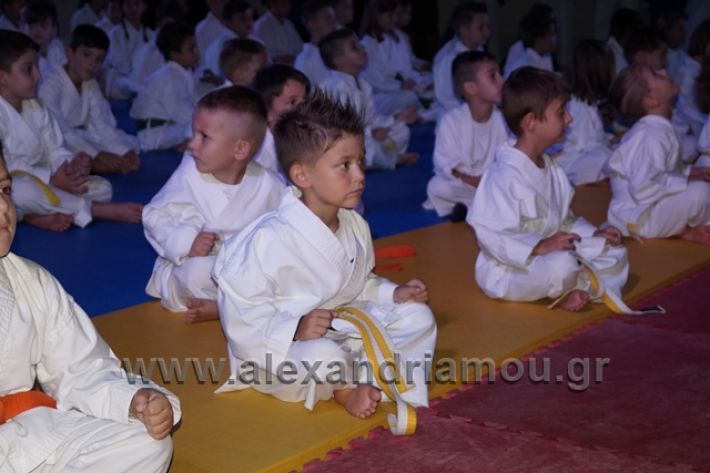 alexandriamou.gr_karate288040