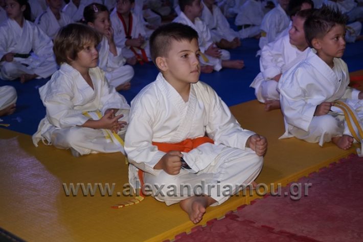 alexandriamou.gr_karate288041