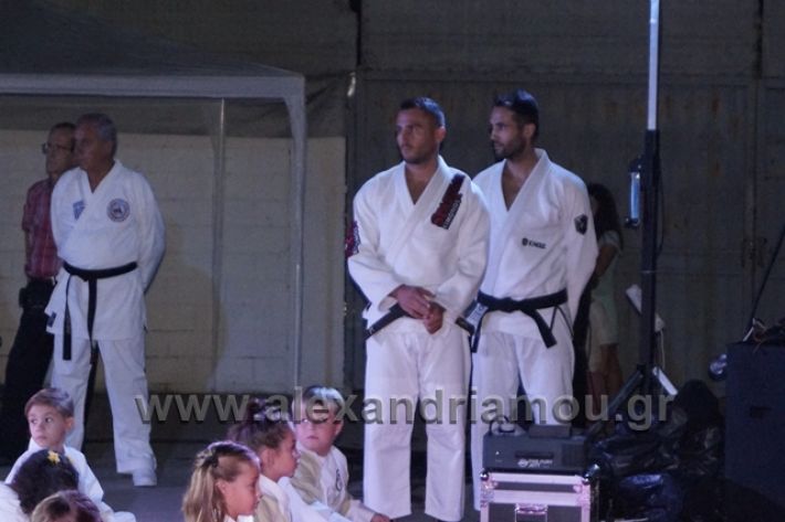 alexandriamou.gr_karate288053