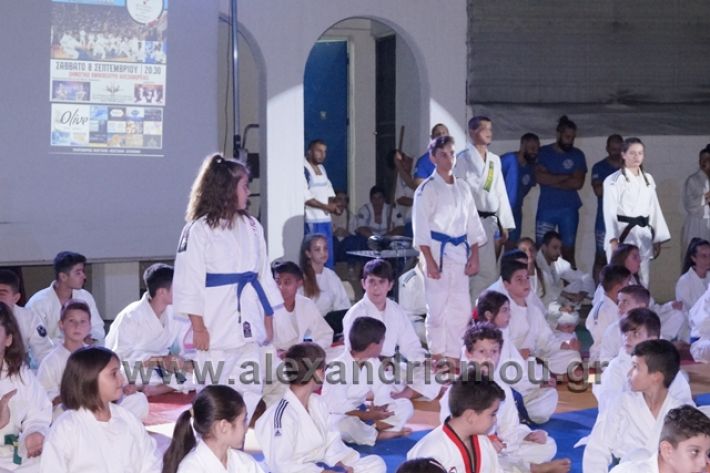 alexandriamou.gr_karate288054