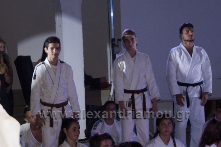 alexandriamou.gr_karate288056