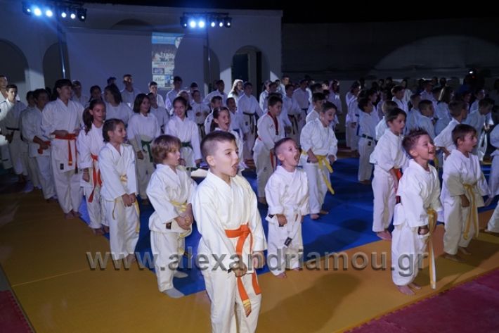 alexandriamou.gr_karate288061