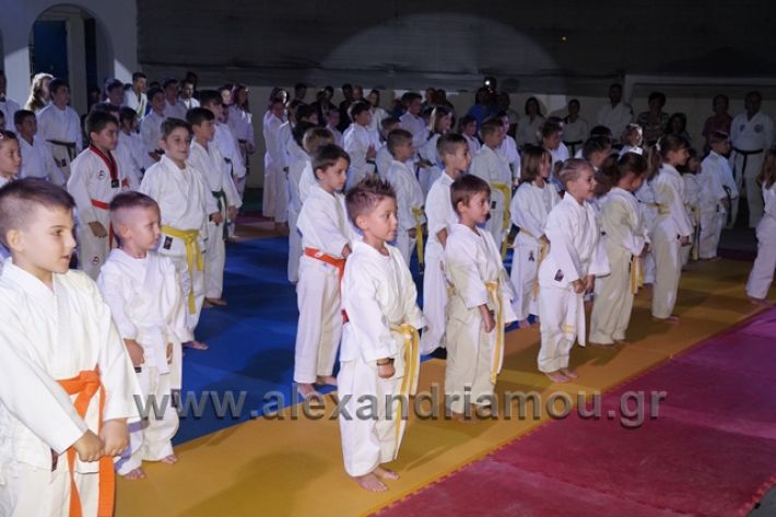 alexandriamou.gr_karate288062