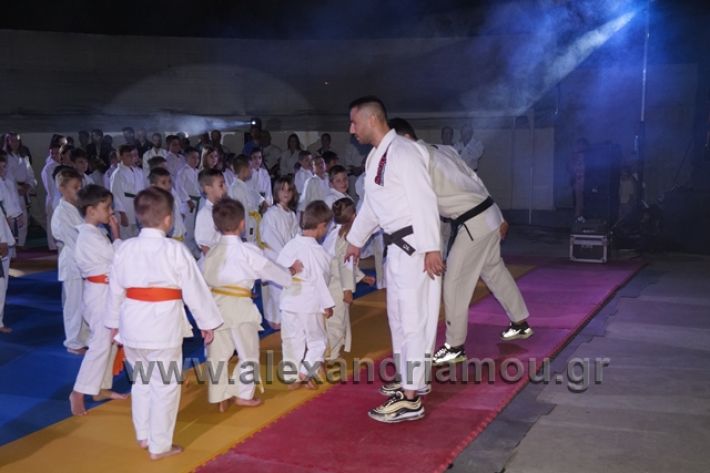 alexandriamou.gr_karate288063