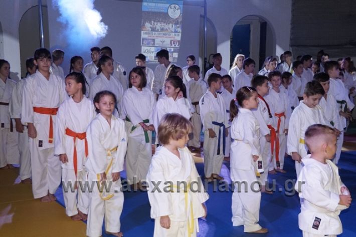 alexandriamou.gr_karate288064