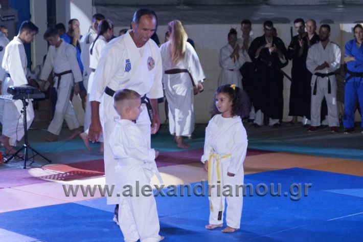 alexandriamou.gr_karate288066