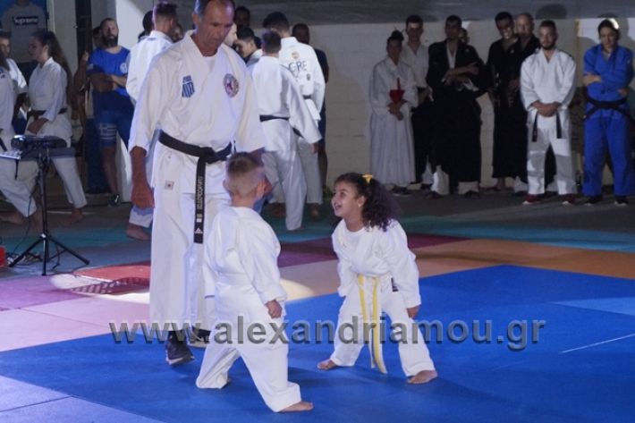 alexandriamou.gr_karate288067