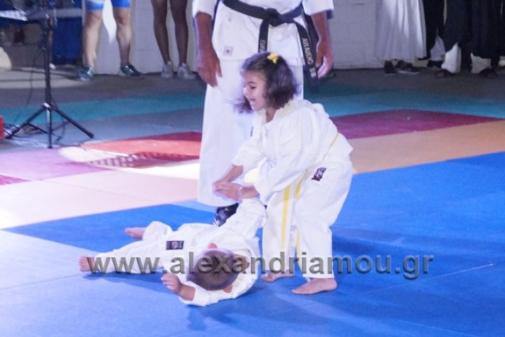 alexandriamou.gr_karate288069