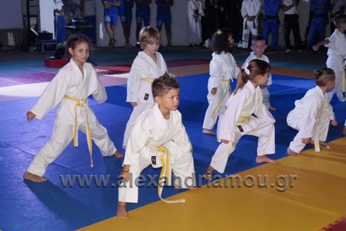 alexandriamou.gr_karate288073