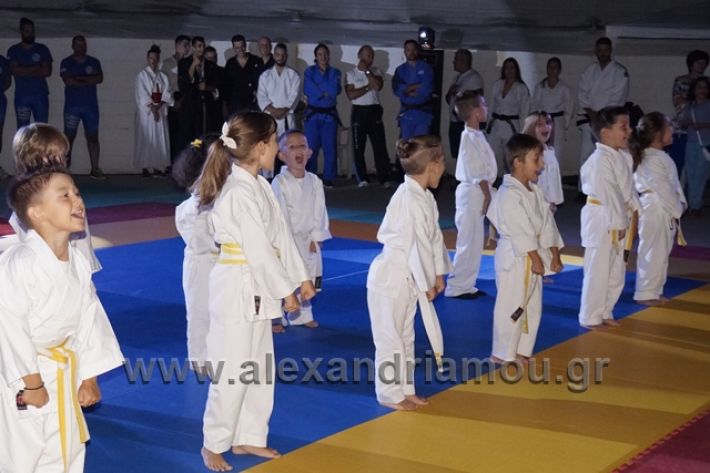 alexandriamou.gr_karate288074