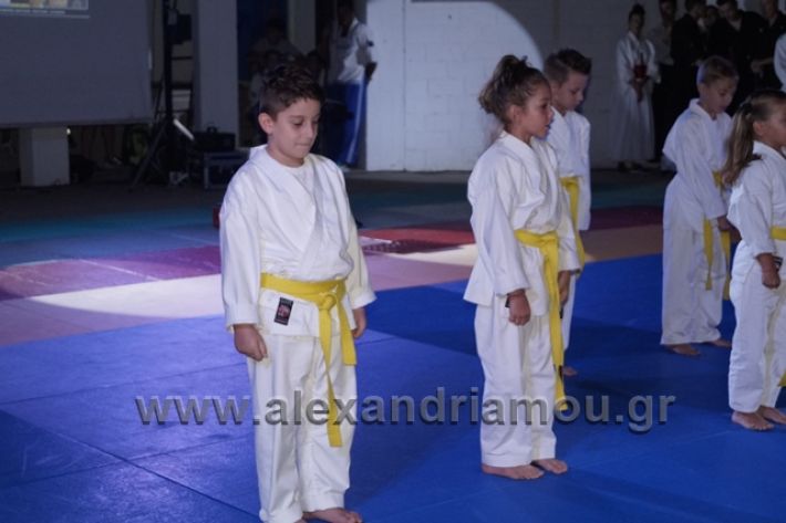 alexandriamou.gr_karate288078