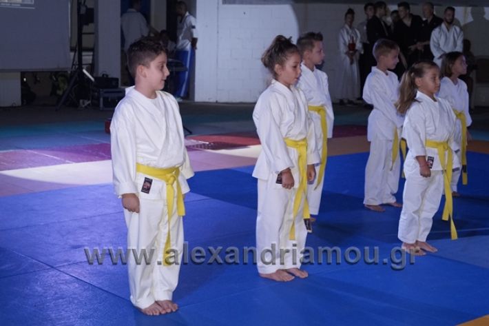 alexandriamou.gr_karate288079