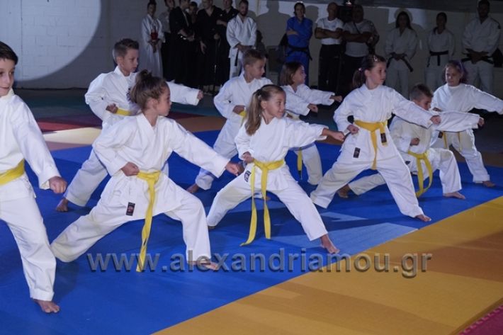 alexandriamou.gr_karate288080