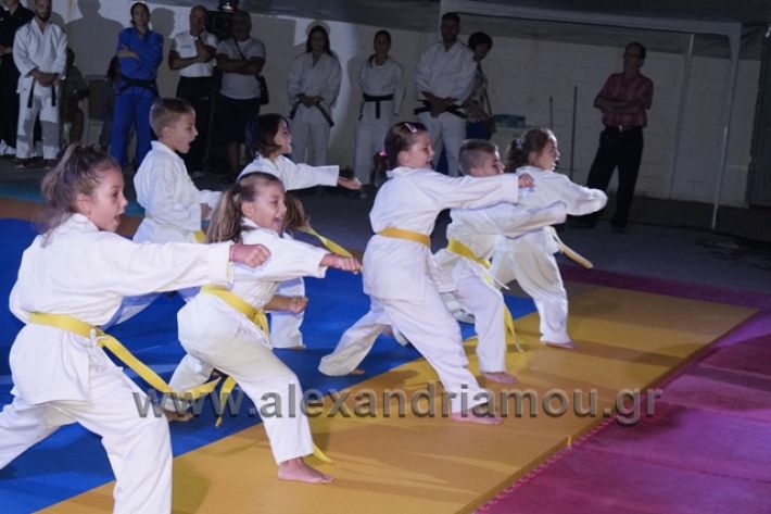 alexandriamou.gr_karate288081