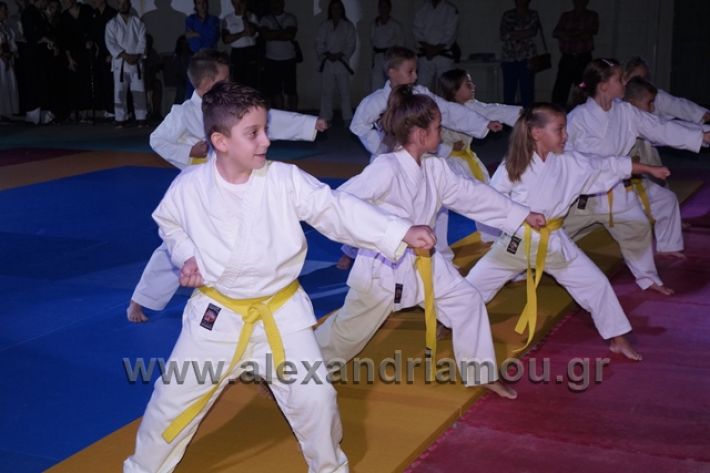 alexandriamou.gr_karate288082