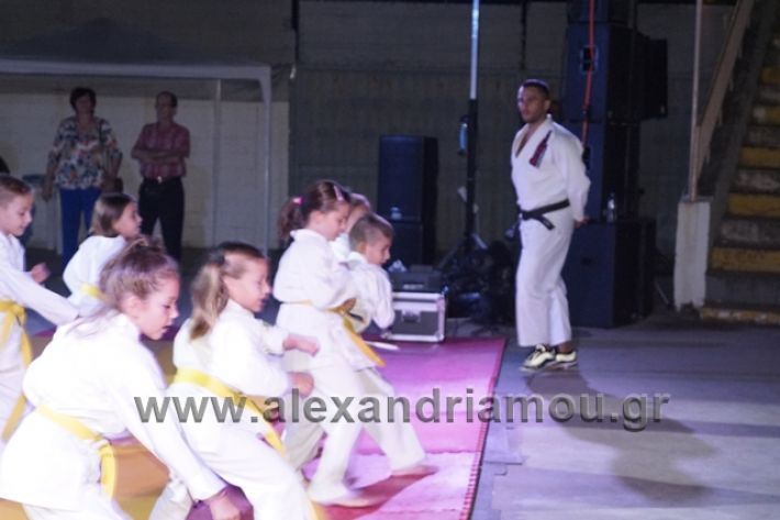 alexandriamou.gr_karate288083