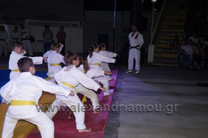 alexandriamou.gr_karate288084