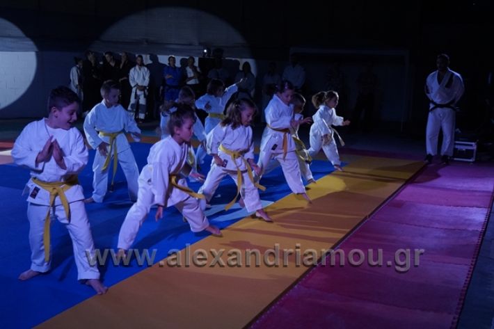 alexandriamou.gr_karate288086