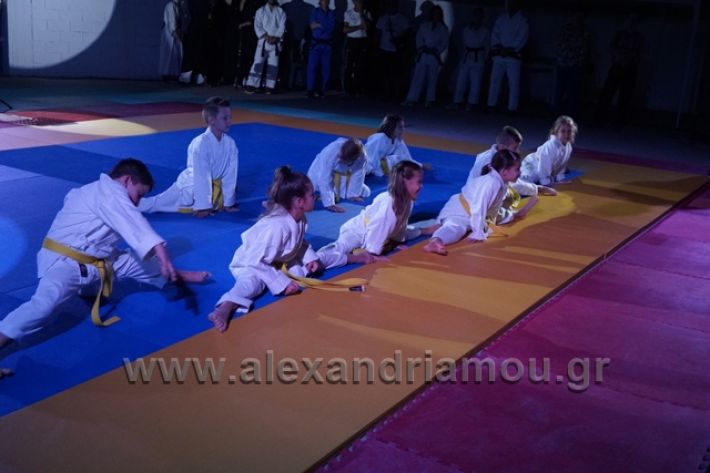 alexandriamou.gr_karate288087