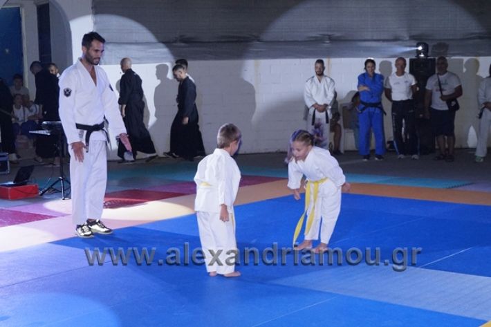 alexandriamou.gr_karate288090