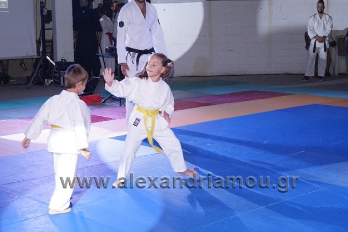 alexandriamou.gr_karate288092