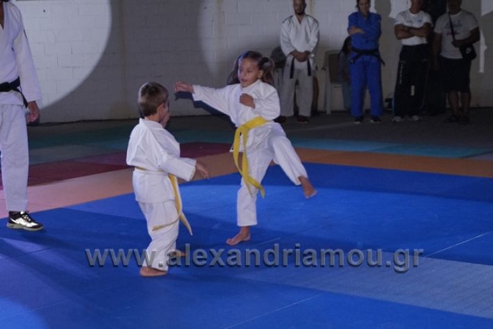 alexandriamou.gr_karate288093