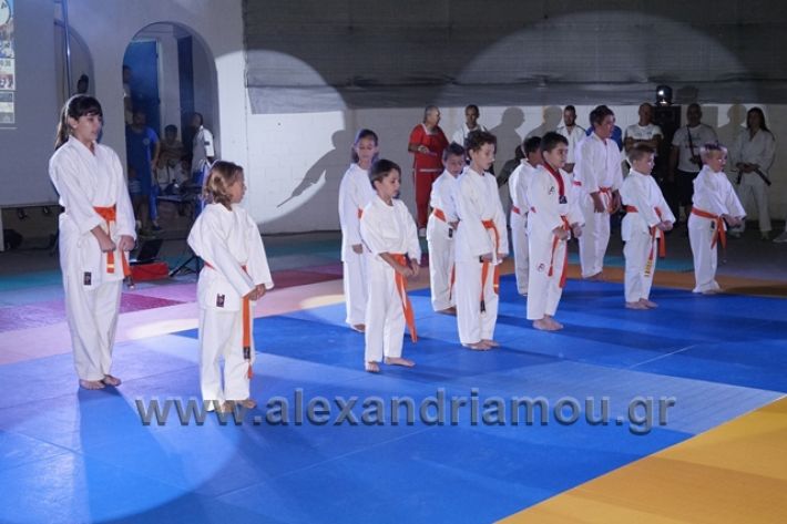 alexandriamou.gr_karate288096