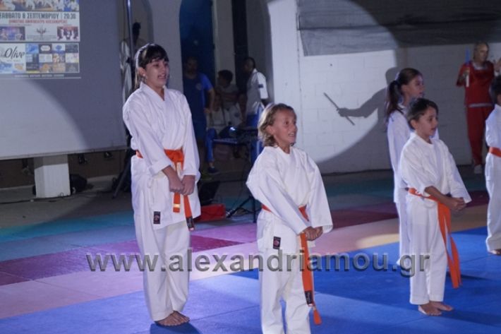 alexandriamou.gr_karate288097