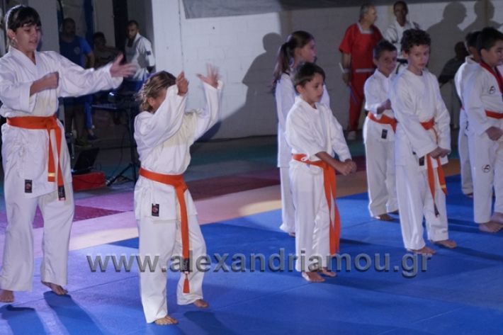 alexandriamou.gr_karate288098