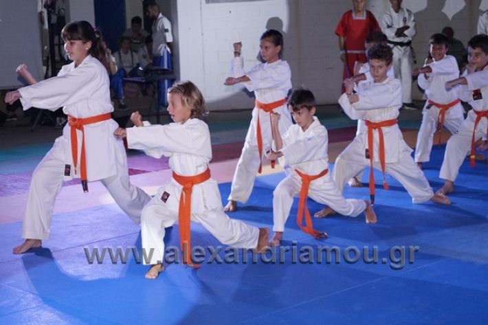 alexandriamou.gr_karate288099