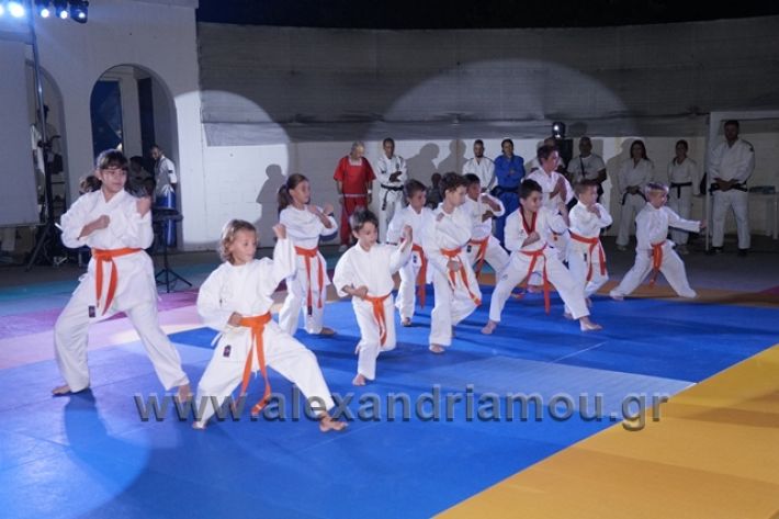 alexandriamou.gr_karate288100