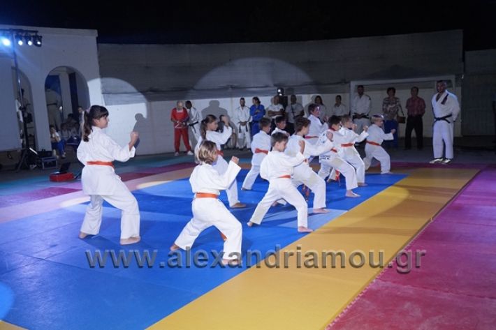 alexandriamou.gr_karate288101