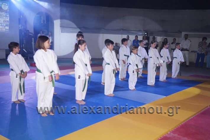 alexandriamou.gr_karate288108