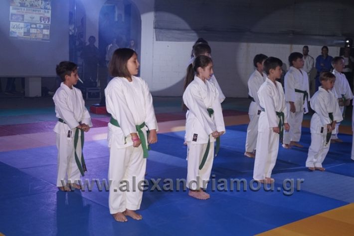 alexandriamou.gr_karate288109