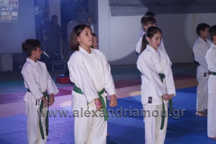 alexandriamou.gr_karate288110