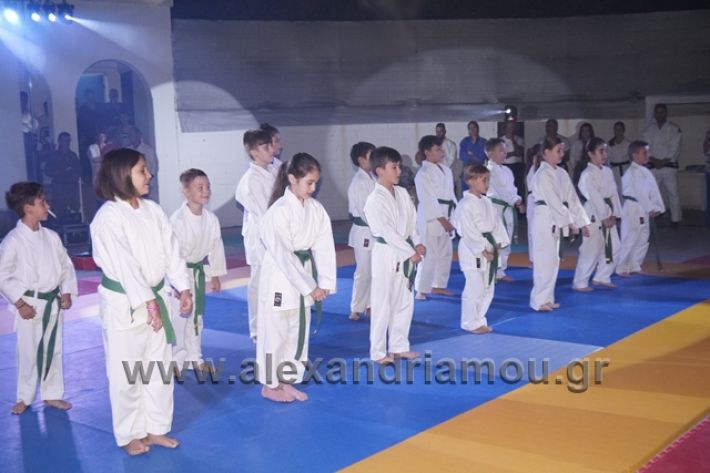 alexandriamou.gr_karate288111