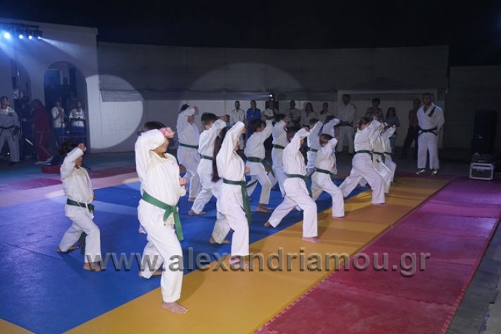 alexandriamou.gr_karate288112