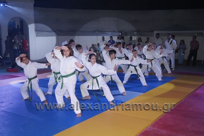 alexandriamou.gr_karate288114