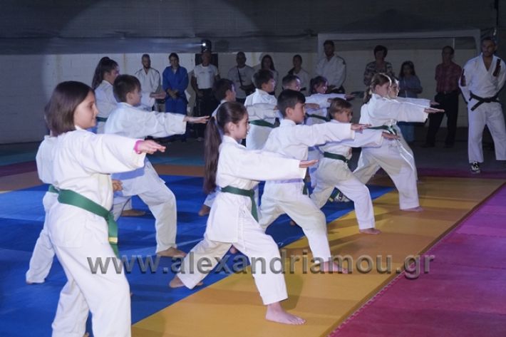 alexandriamou.gr_karate288115