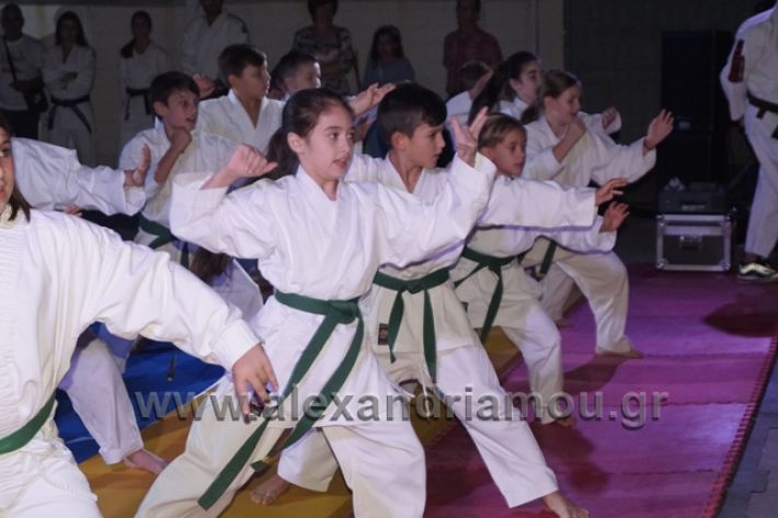 alexandriamou.gr_karate288116