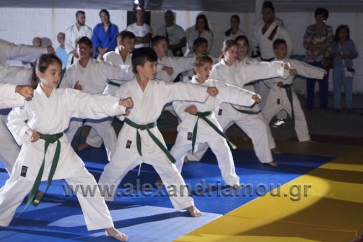 alexandriamou.gr_karate288117