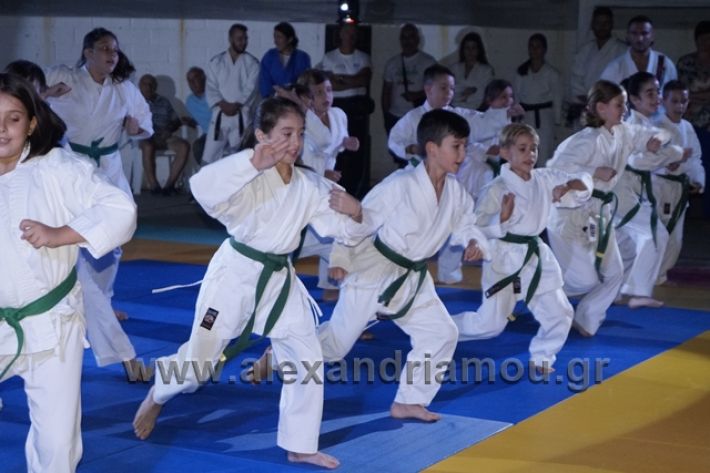 alexandriamou.gr_karate288118