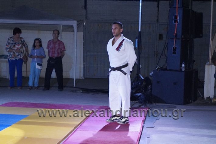 alexandriamou.gr_karate288121