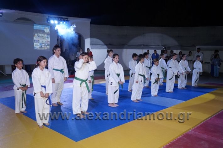 alexandriamou.gr_karate288124