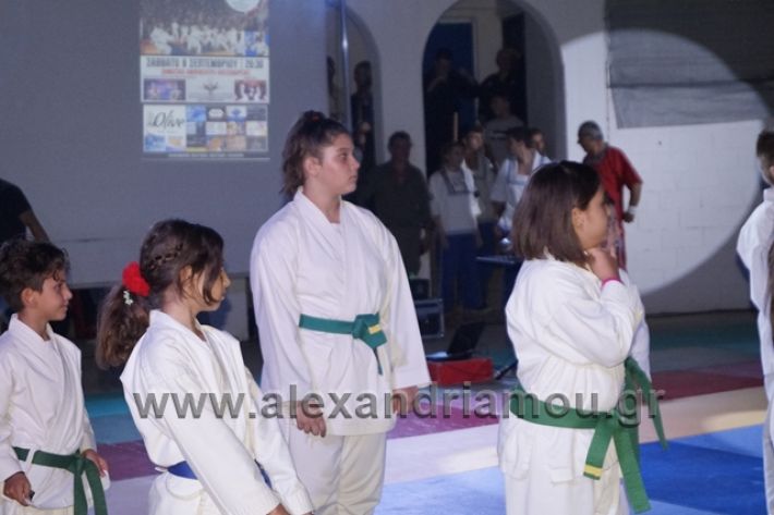 alexandriamou.gr_karate288125