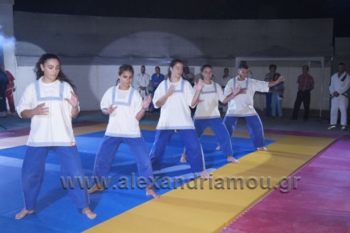 alexandriamou.gr_karate288136