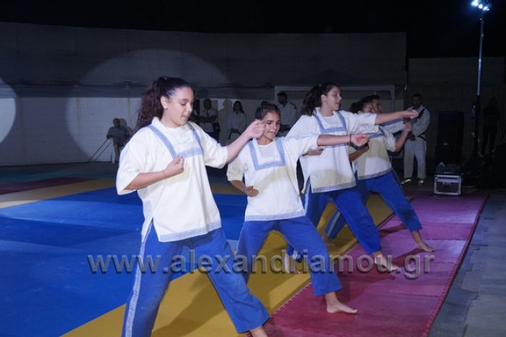 alexandriamou.gr_karate288137