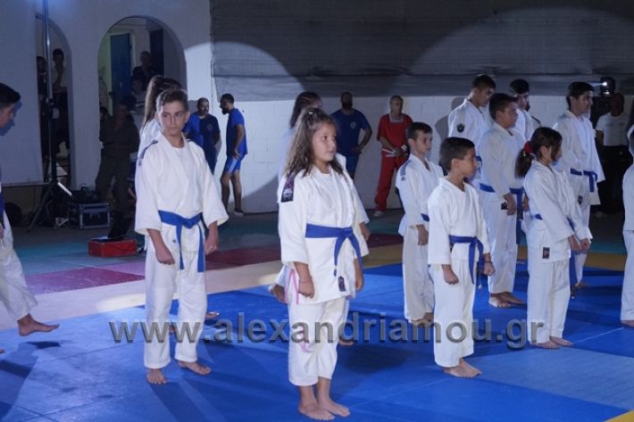 alexandriamou.gr_karate288147